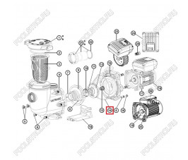 Прокладка Hayward TriStar (SPX3200T)